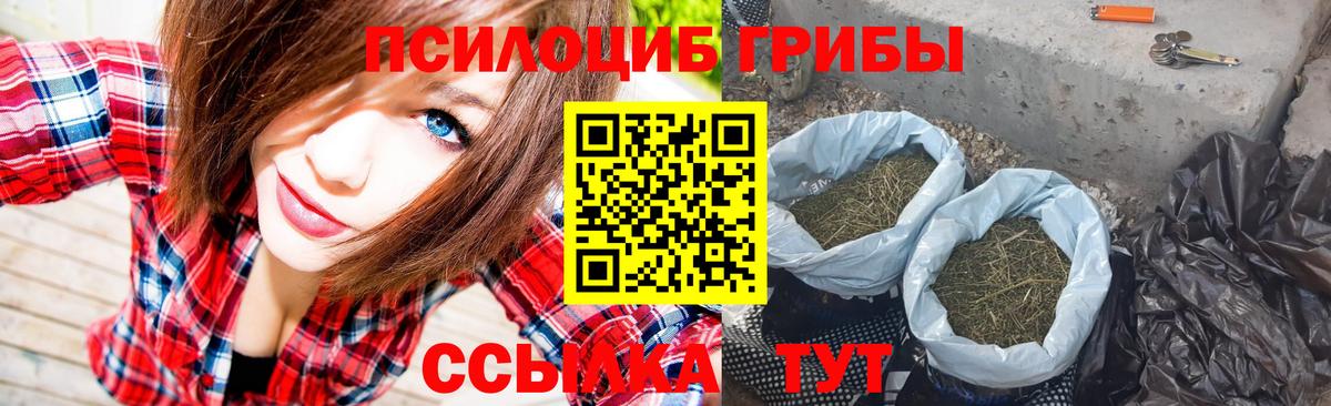 Псилоцибиновые грибы Psilocybine cubensis  Вход с VPN  Псилоцибиновые грибы Psilocybine cubensis  Узловая 
