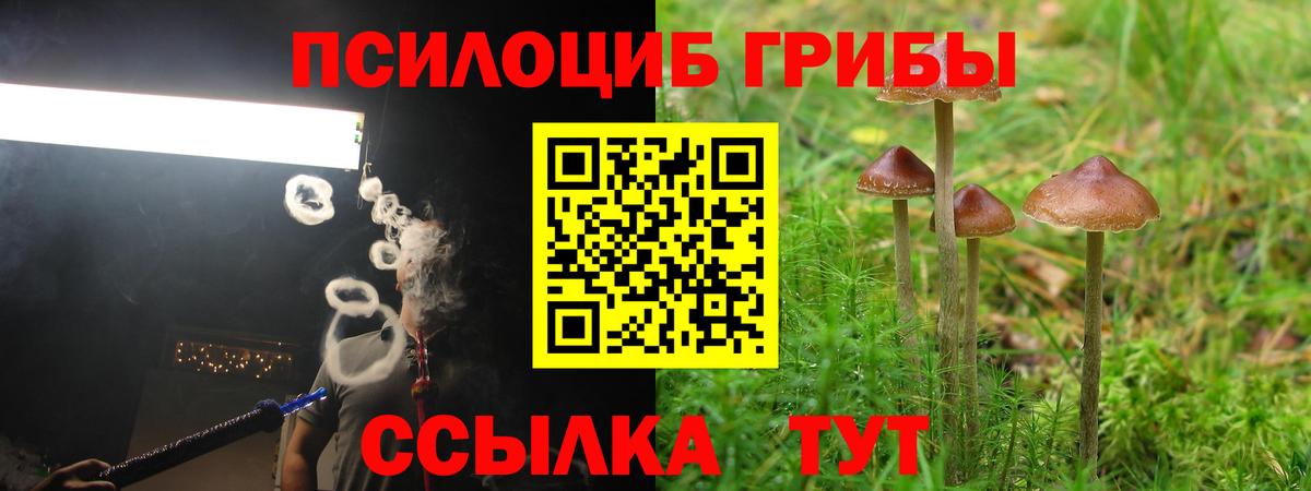 Псилоцибиновые грибы прущие грибы Узловая